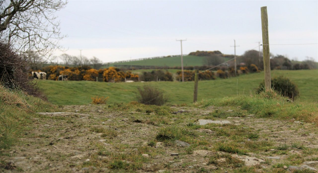 New environmental scheme could 'cut number of inspections'