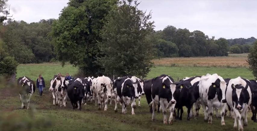 Video: Food waste and sustainability feature on Ear to the Ground