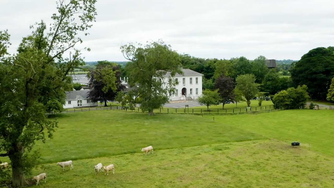 Teagasc: Virtual Beef Week - Farming in a more environmentally sustainable manner - Day 3