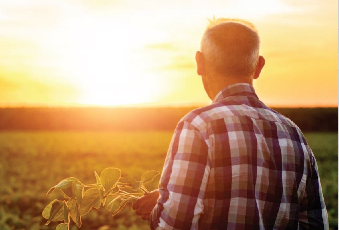 EirGrid voices support for Cullinan comments on farmers and energy