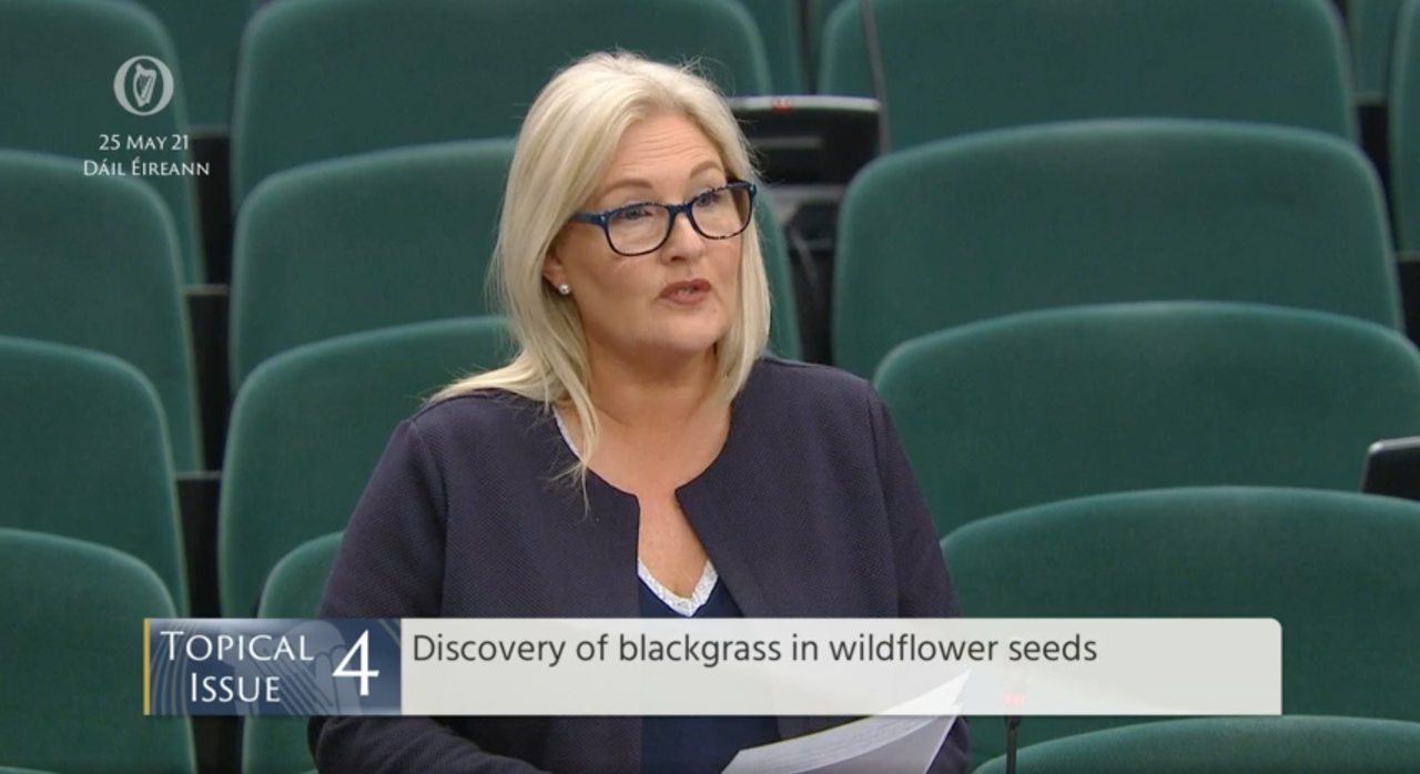 'Proactive approach' needed to prevent spread of blackgrass