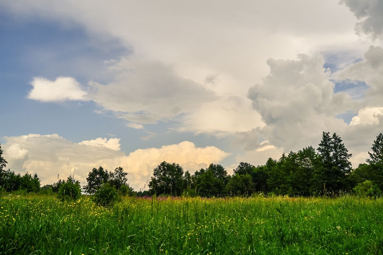 International Methane Emissions Observatory launched