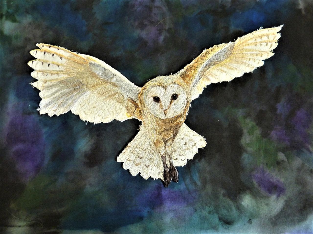 BirdWatch Ireland encourages uptake of barn owl measure in ACRES