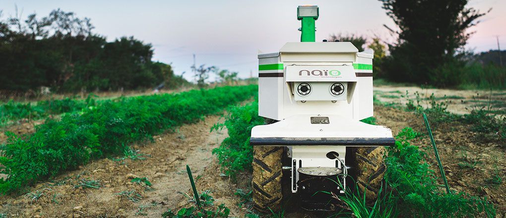 Video: Taking the hardship out of weeding with a robot