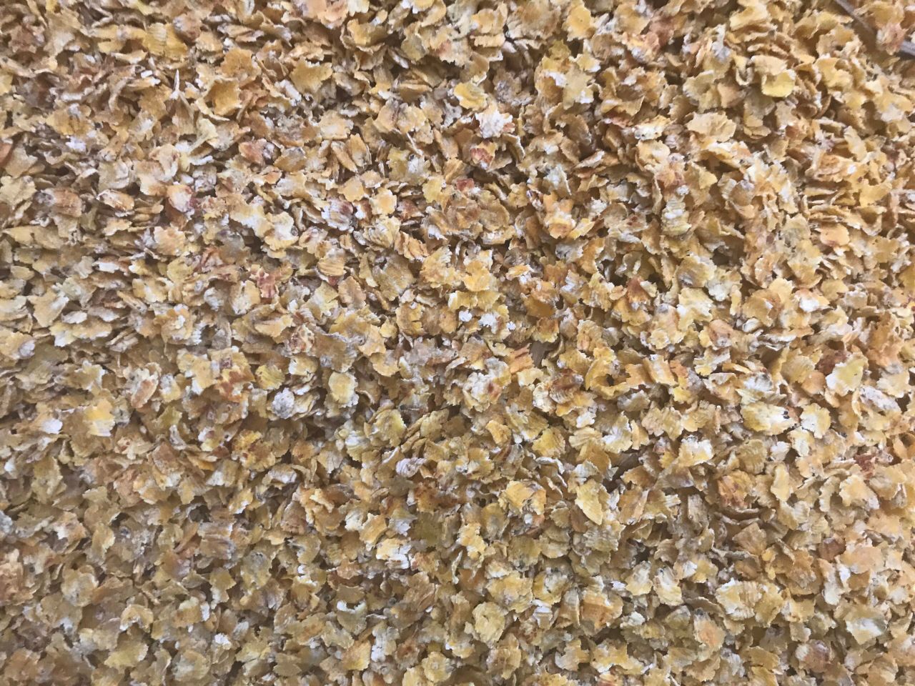 Could we learn from the Canadians on how to manage mycotoxins?