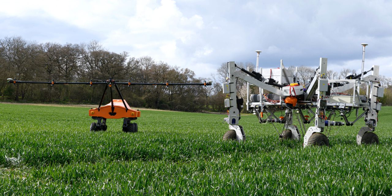 'Per plant farming' with Tom, Dick and Harry