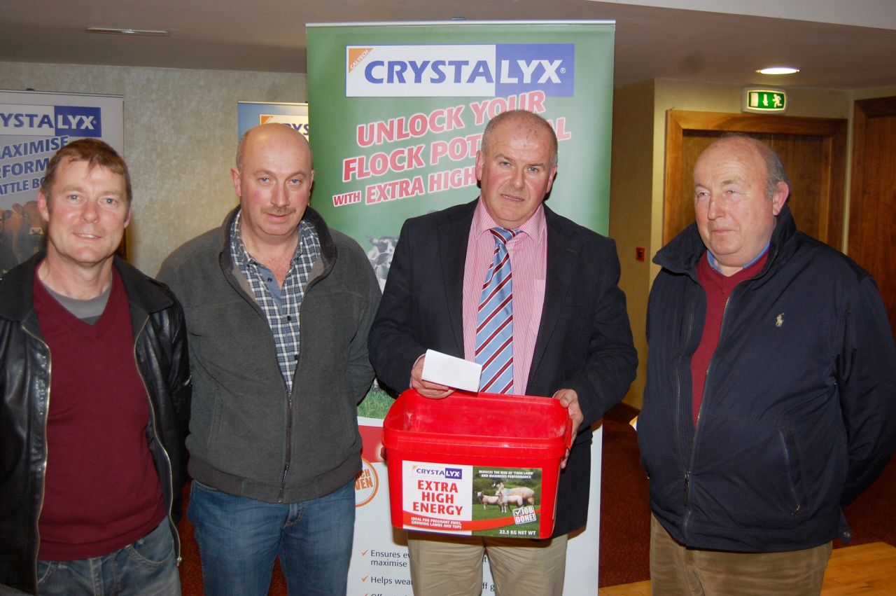Tremendous turnout for Tralee sheep meeting