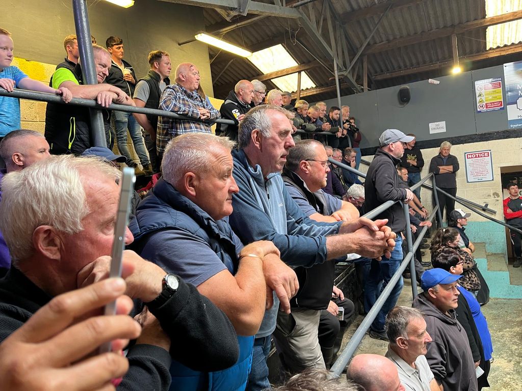 Large crowds of farmers from across the country attended the sale