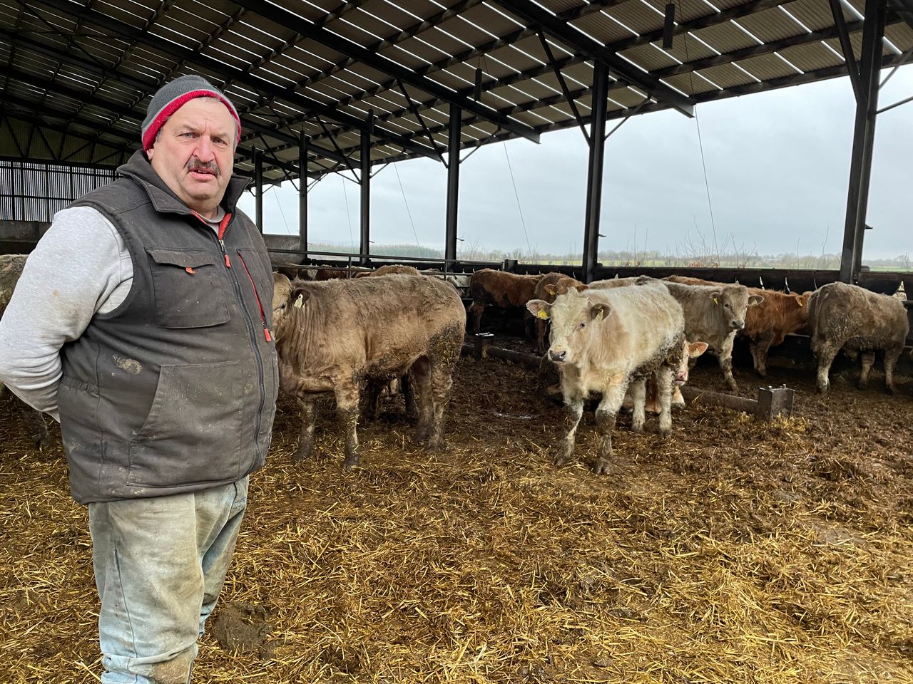 Watch: Deane questions IFA silence on suckler-farming exodus