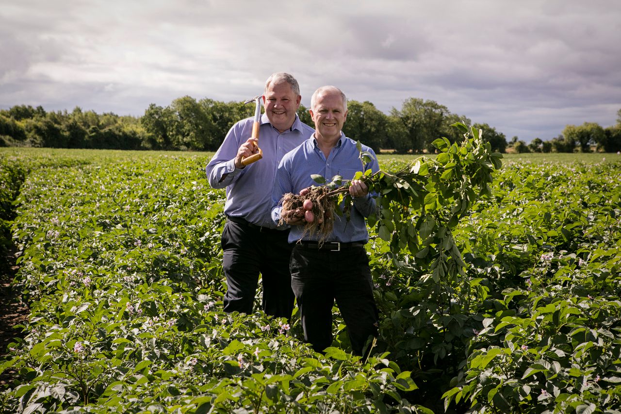 Country Crest and Tesco confirm €62.5 million vegetable contract