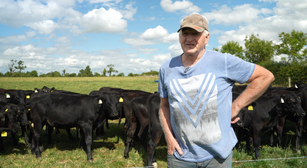Housing cattle early due to dry spell grass deficit on Meath beef farm