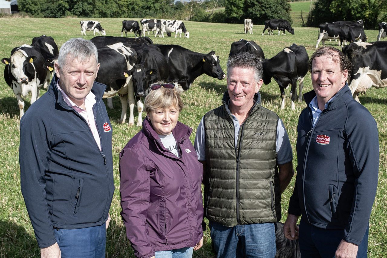 Dairygold and Teagasc host 'Farming for Water' event on Cork farm