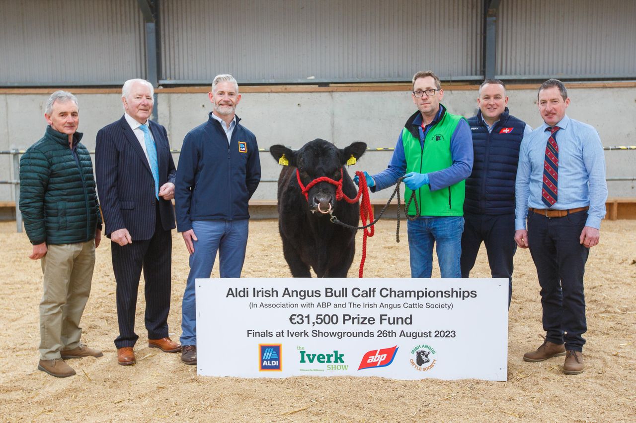 €31,500 prize fund for 2023 Aldi Bull Calf Championships