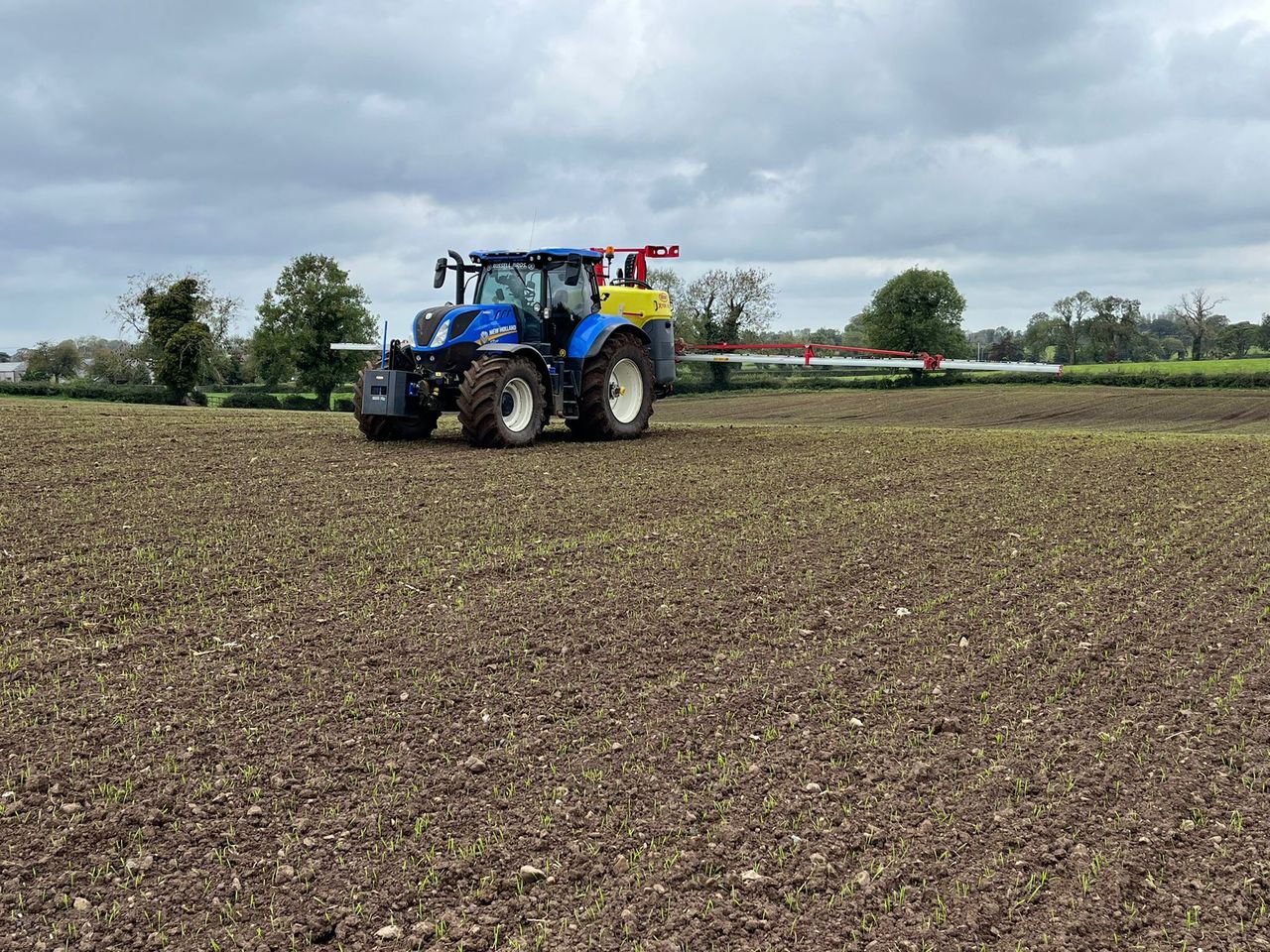 The threat of herbicide resistance in grass weeds