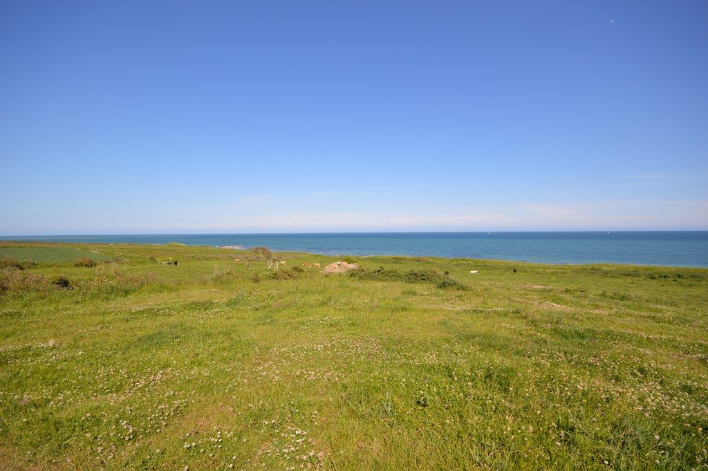 Rosslare farm benefits from 'spectacular' coastal location