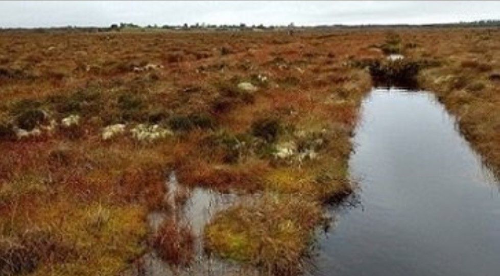 Minister welcomes Budget funds of €256m for heritage and nature