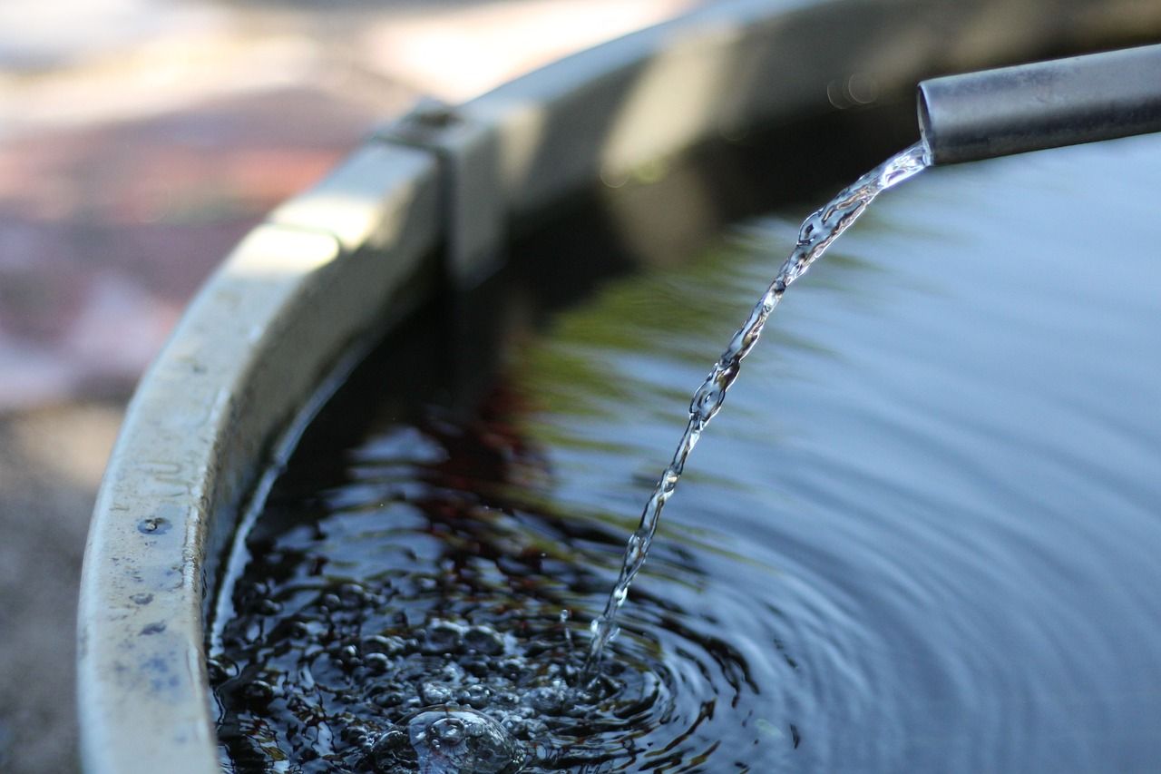 Find out why farmers received water 'warnings' in 2024