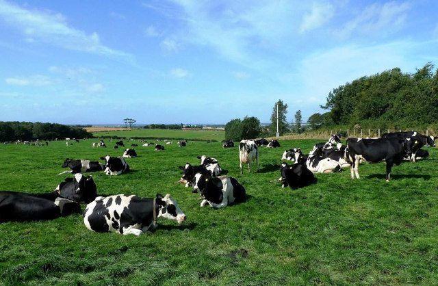 IFA and ICMSA remain positive ahead of April milk price announcements