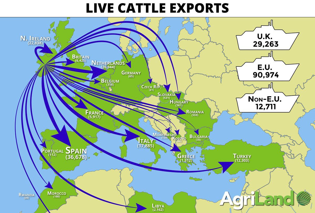 Map: Where were Ireland's cattle exported to in 2016?
