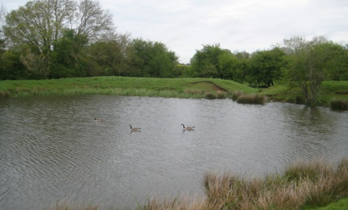 Trinity professor calls for private funding for 'ecosystem services'
