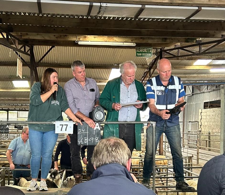 Stepping up to auctioneer at Tuam Mart at 23 years old