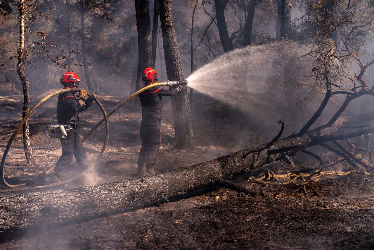French firefighters. 
Source: Emmanuel Macron (social media)