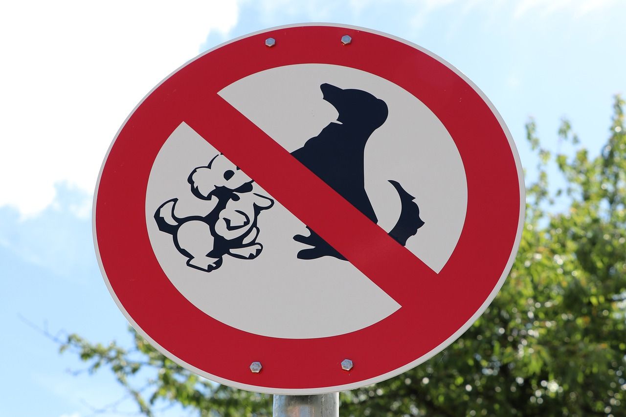 New 'dog control notices' under consideration - minister