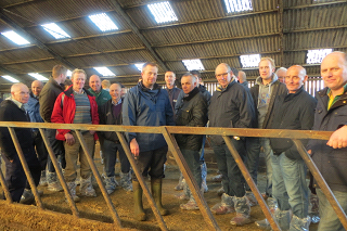 Cow welfare on large Scottish dairy farms