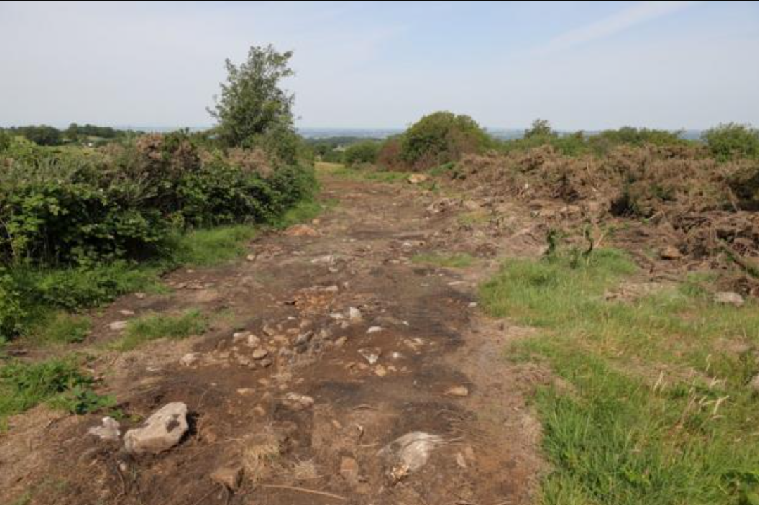 Retired farmer fined for unauthorised works to field system