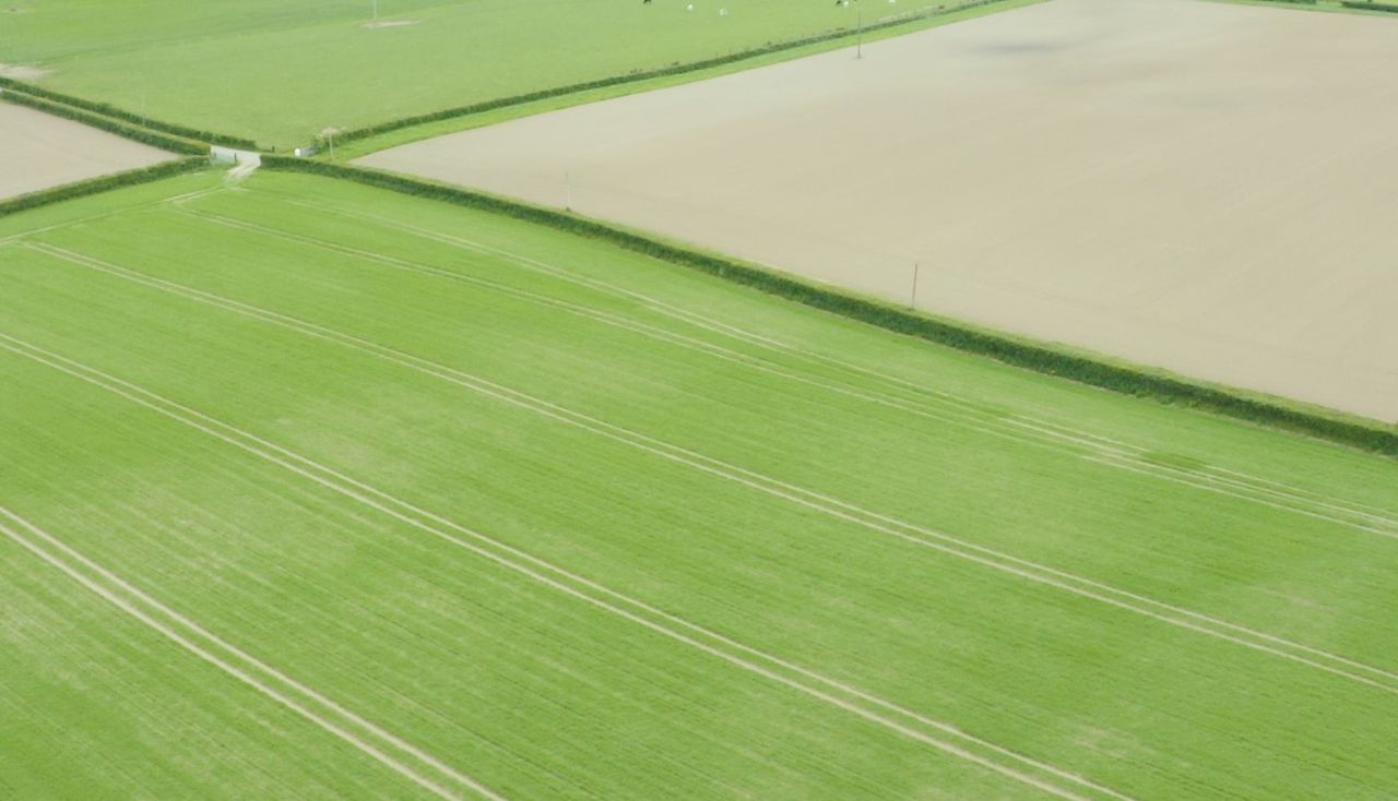 CROPS WATCH: Avoiding stress in spring barley is essential going forward