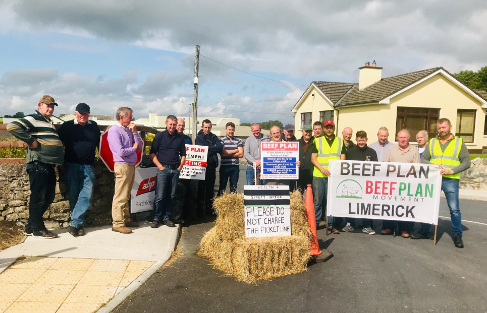 'The reforms we asked for have not been delivered' - Beef Plan