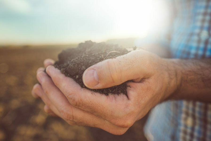 Getting soil pH right can significantly reduce nitrous oxide