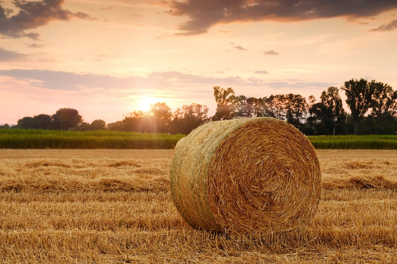 Met Éireann: Last month was the coldest September in 6 years