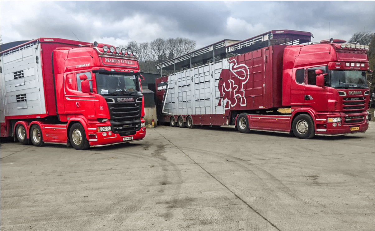 Analysis: The Irish live cattle export market in 2018
