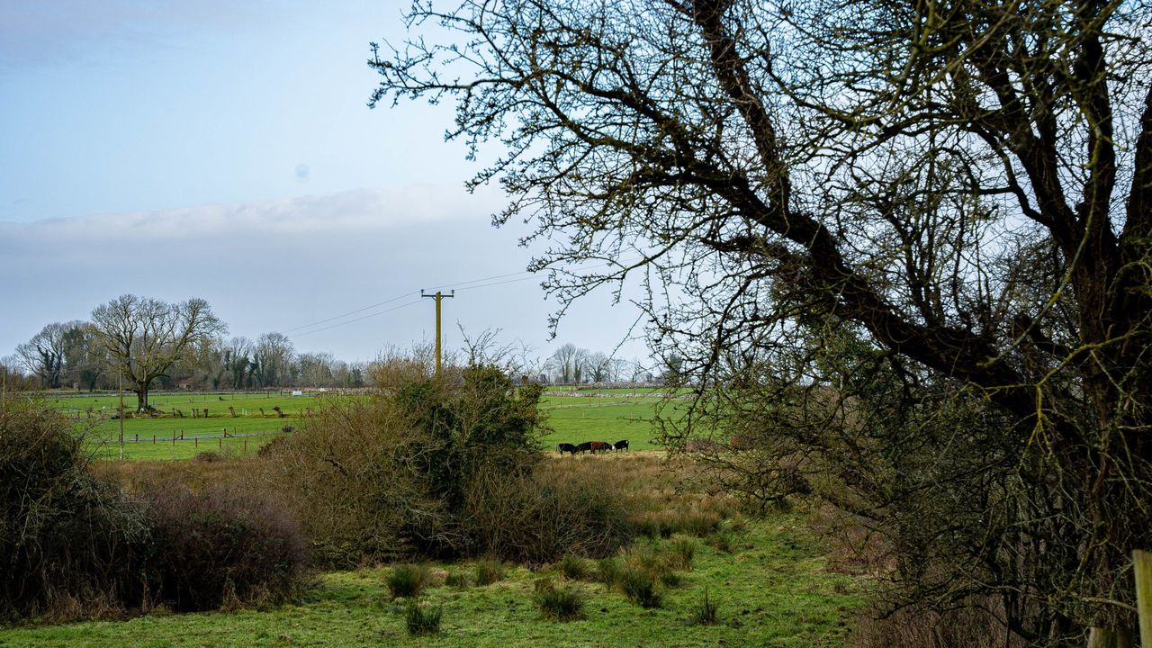 CAP plan: Commission calls climate ambition into question