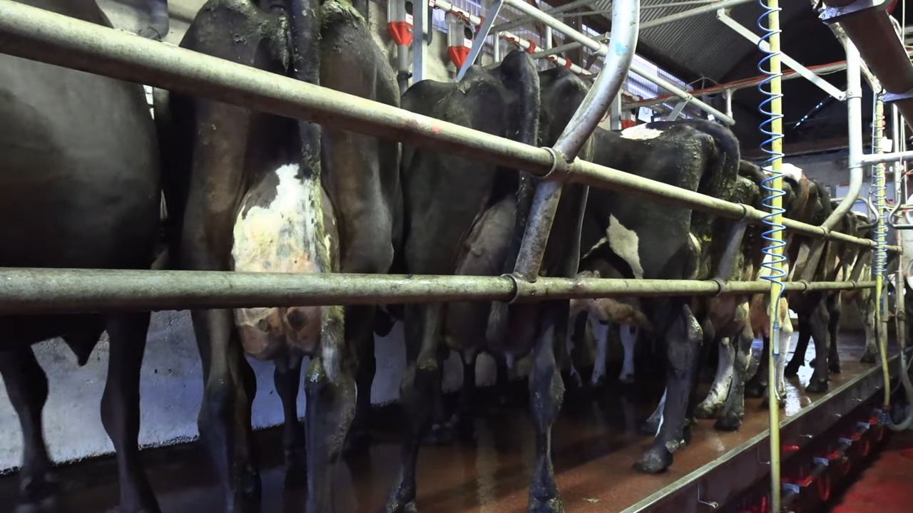 Double-digit GDT jump 'puts case for milk price boost beyond doubt'