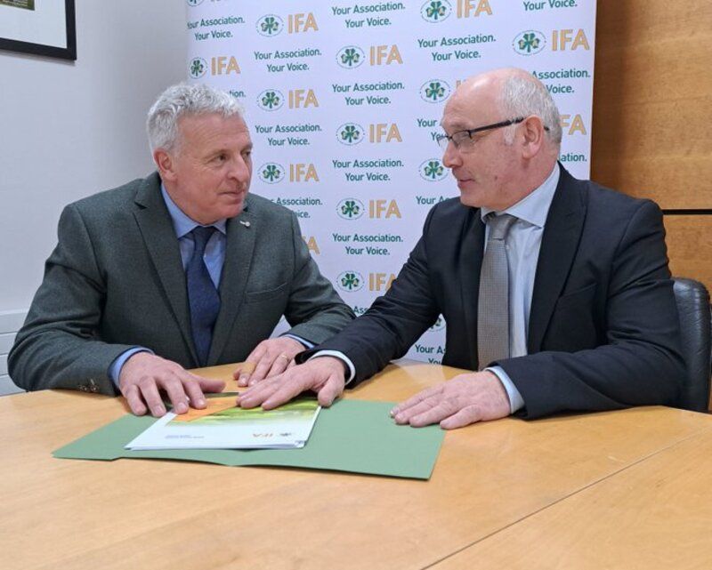 IFA elects new National Environment Committee chair