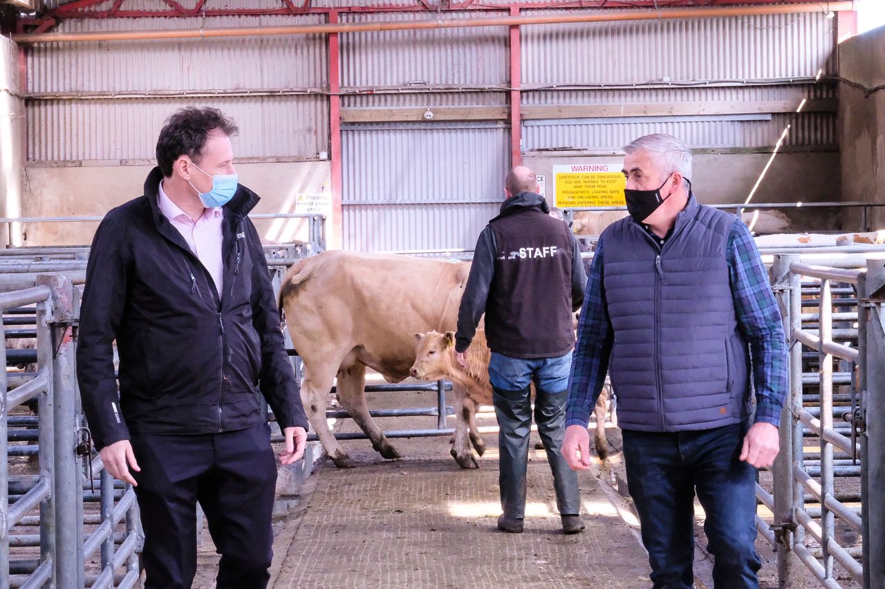 Minister pays tribute to marts and farmers but urges caution