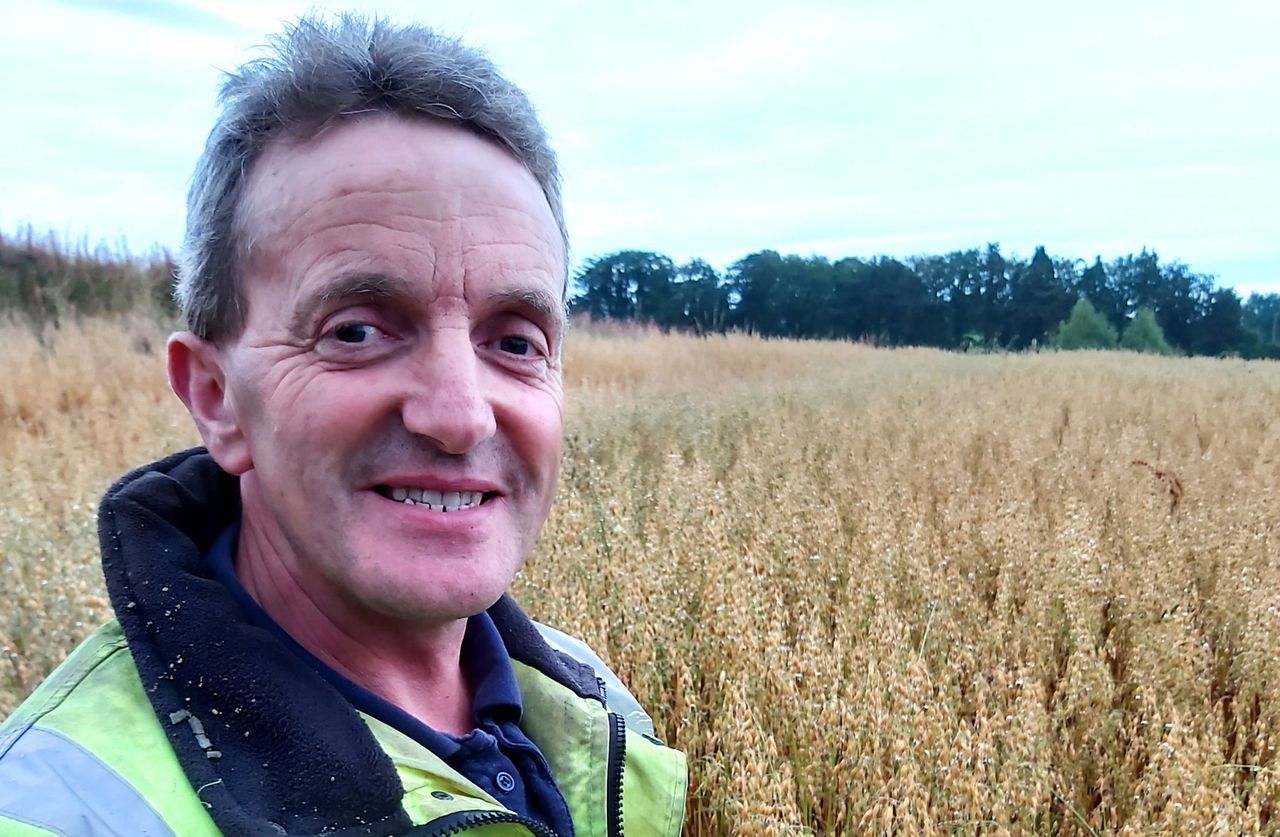 'Organic arable sector has more scope'
