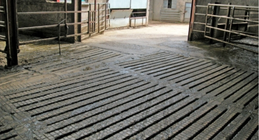 Contractor's discovery 'a stark reminder' of slurry-mixing dangers