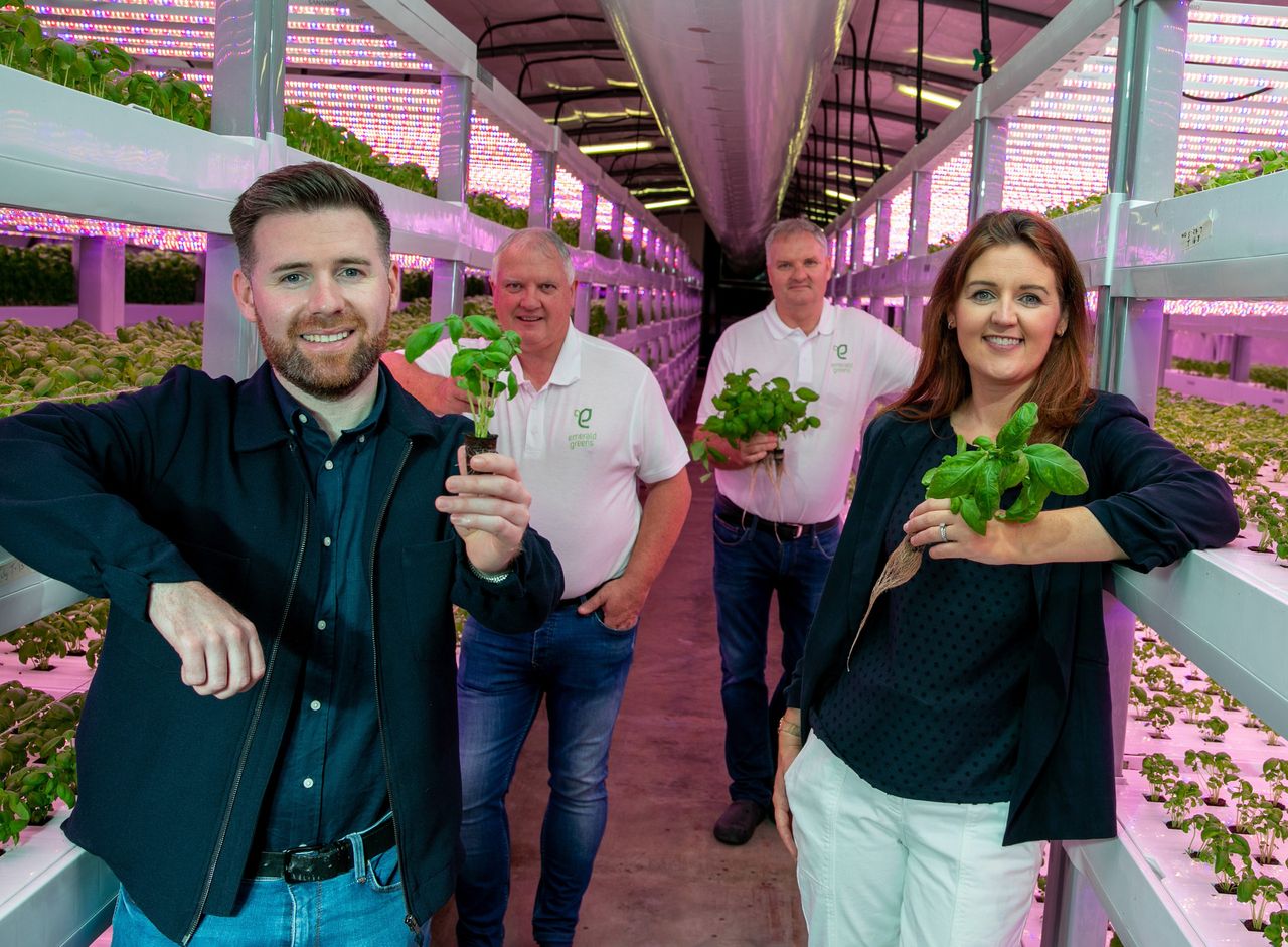 Mushroom producer turned vertical farmer signs contract