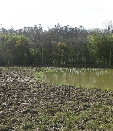Some farmers are dealing with 500% of normal May rainfall