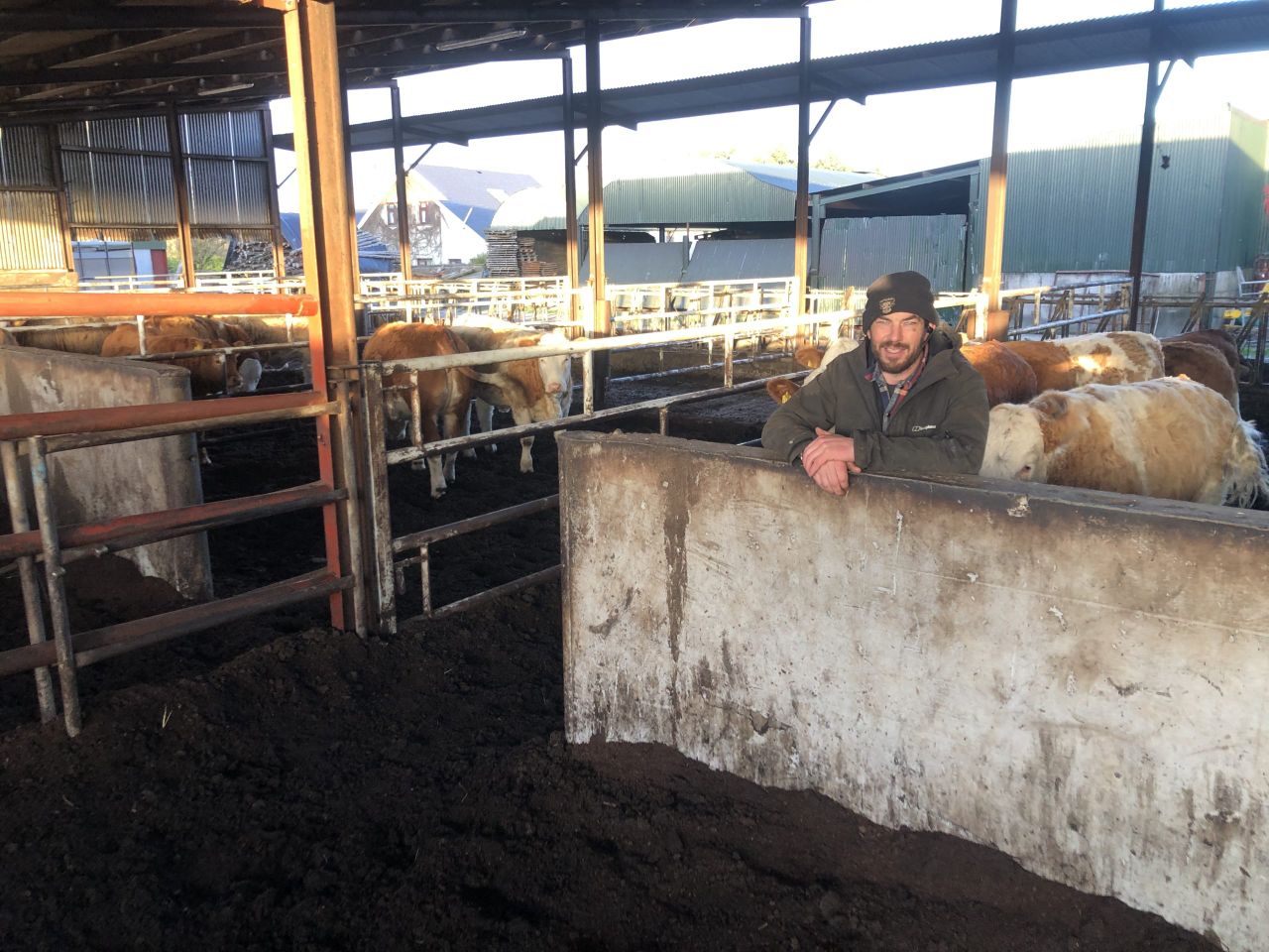 Beef Focus: The Clonagh Herd producing show champions in Co. Laois