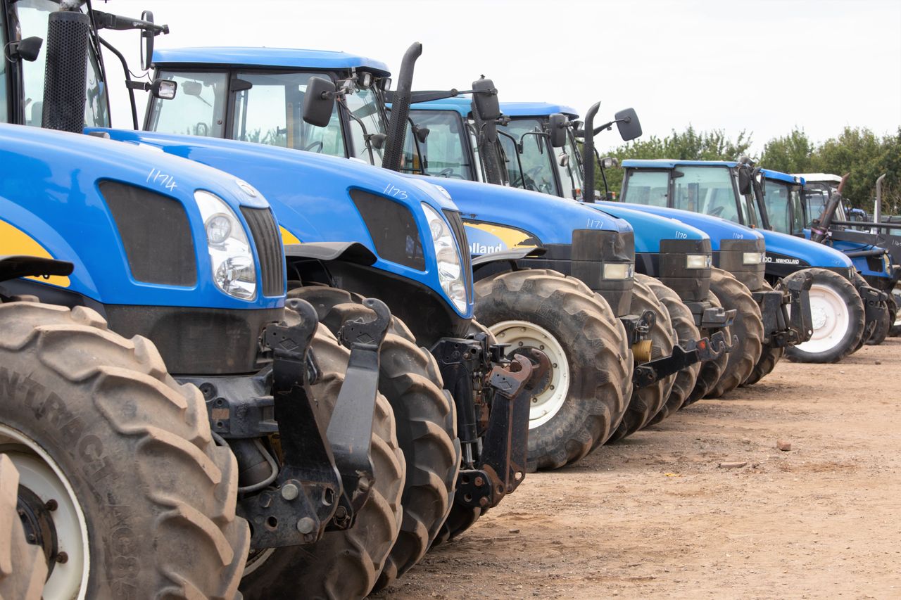 Auction report: Betting on 'blue' as temperatures hit the 'red'