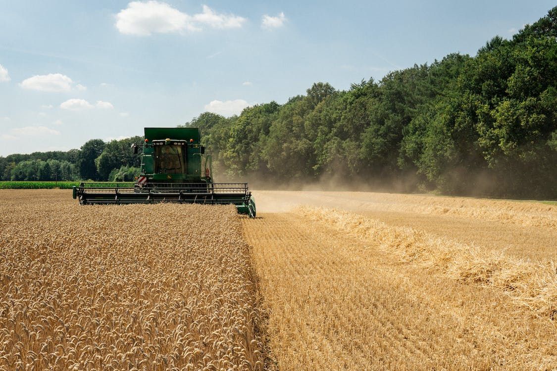 Farmers want to 'switch fields' under Straw Incorporation Measure
