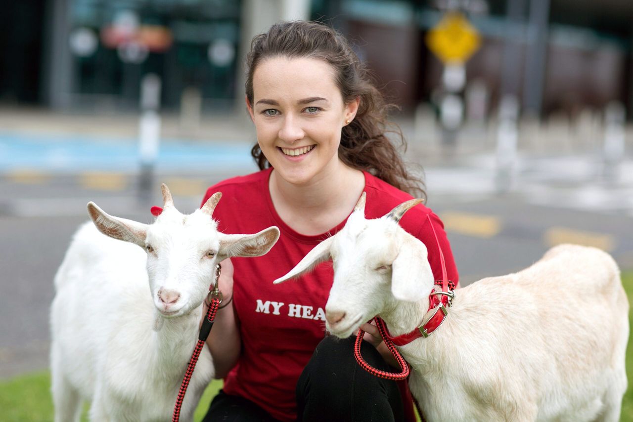 1,500 animals to fly from Shannon to Rwanda on Bothar's 25th anniversary