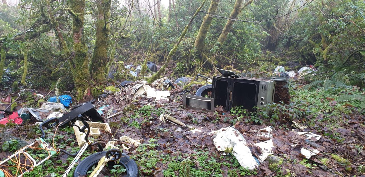 Illegal dumping 'increased by up to 25%' since start of Covid
