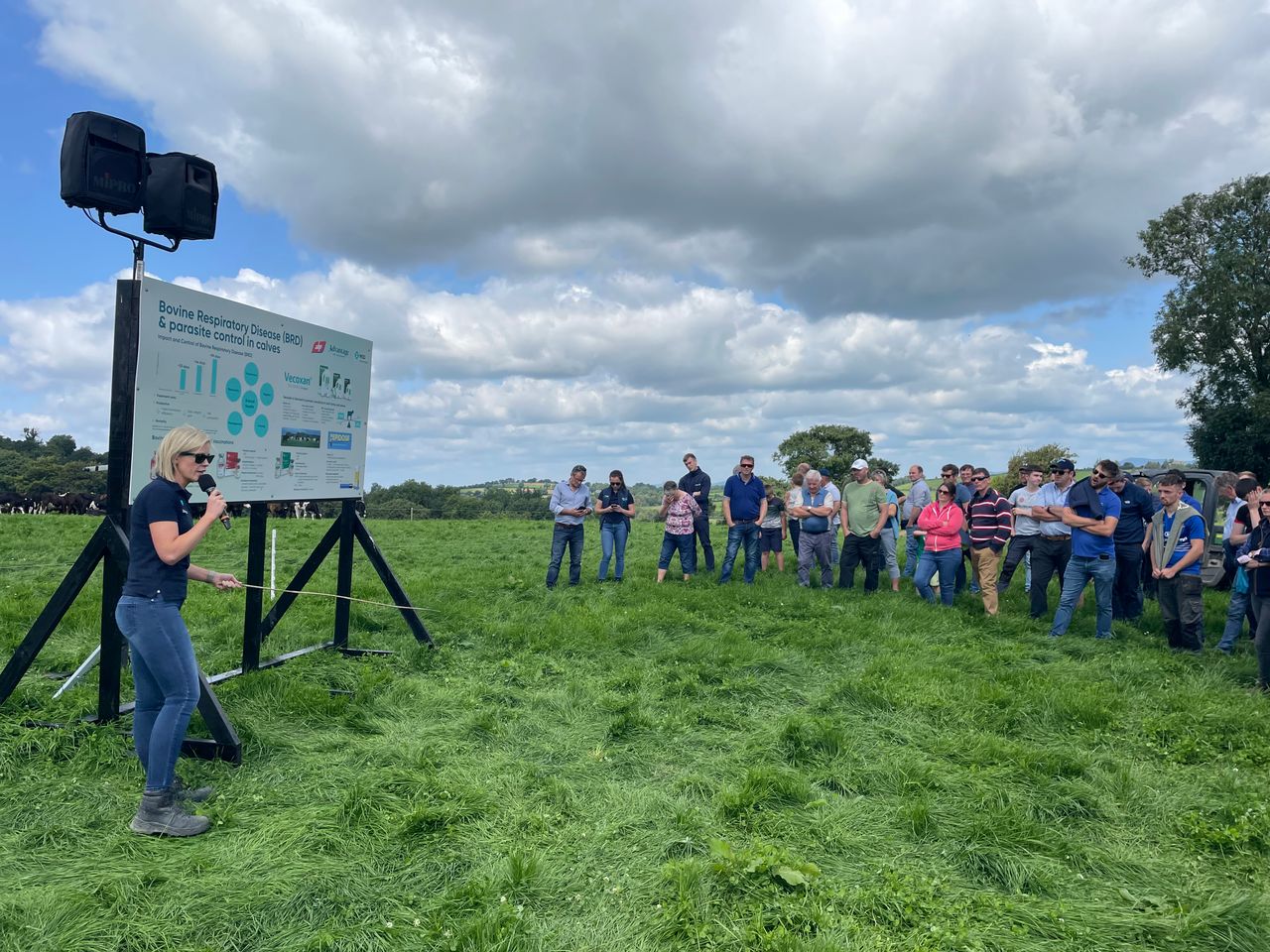 Understanding Coccidiosis cases in calves