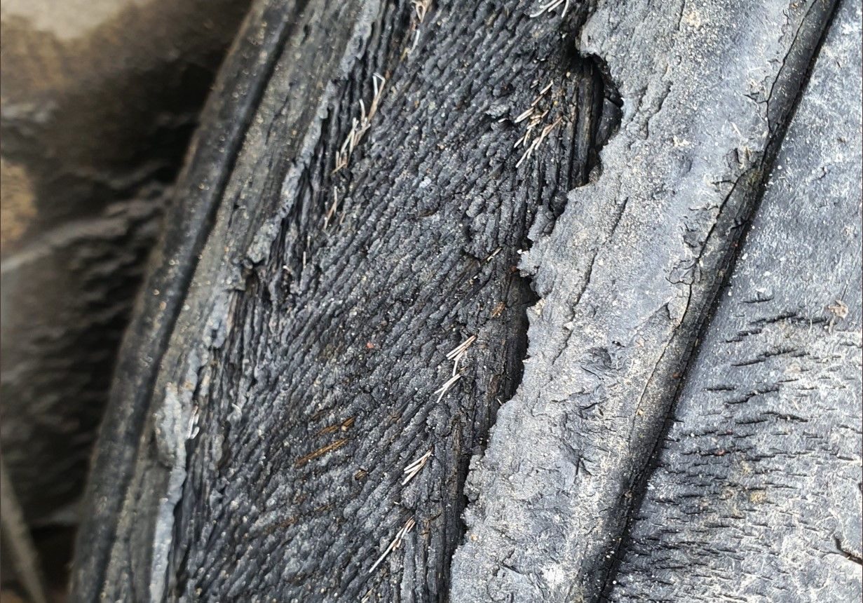 Tattered tyre lands driver transporting livestock in trouble