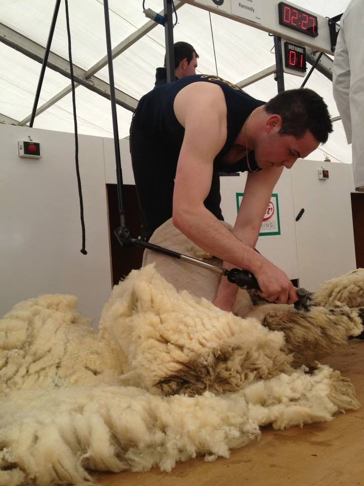 All roads lead to Gorey for Golden Shears spectacular